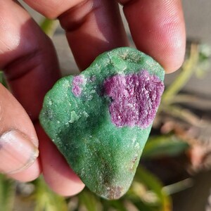 以下が含まれることがあります： 鮮やかな緑色のマトリックスと濃い赤色のルビー結晶のパッチが特徴の、ラフカットの宝石。 手で持っており、自然で未研磨の質感と色のバリエーションを示しています。 ルビーの結晶はクラスター状になっており、視覚的な面白さを加えています。