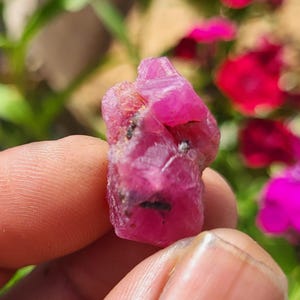 Könnte beinhalten: Ein roher, ungeschliffener Rubin-Edelstein, der in einer Hand gehalten wird. Der Rubin hat eine leuchtend rosa Farbe mit dunkleren Einschlüssen und eine raue, natürliche Textur. Der Hintergrund ist verschwommen mit grünem Laub und rosa Blüten.