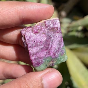 Puede incluir: Una gema en bruto, sin cortar, con una superficie texturizada. La piedra muestra un rico color rosa intenso, que pasa a una base verde. La forma natural e irregular de la piedra es visible. La gema se sostiene en una mano. Dimensiones: aprox. 3 cm x 2 cm.