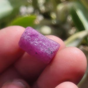 May include: A close-up of a rough, rectangular-shaped, pink ruby gemstone. The ruby has a textured surface and appears to be held between fingers. The background is blurred, with hints of green foliage.