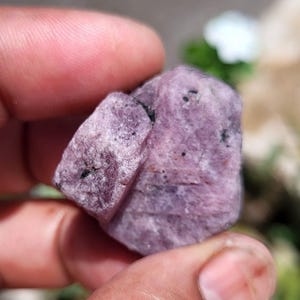 Könnte beinhalten: Ein roher, ungeschliffener, rosaviolett gefärbter Edelstein mit dunklen Einschlüssen. Der Stein wird in einer Hand gehalten, wodurch seine natürliche, unregelmäßige Form und Textur hervorgehoben werden. Der Edelstein wirkt leicht durchscheinend.