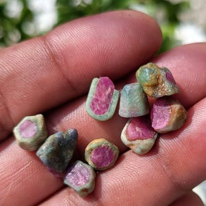 Puede incluir: Una colección de pequeñas piedras preciosas en bruto y sin tallar que presentan centros de color rosa vibrante incrustados en una matriz mineral rugosa de color verde pálido y gris. Estas piedras naturales sin pulir exhiben formas irregulares y texturas variadas, mostrando un contraste marcado entre los núcleos de color magenta brillante y las capas exteriores terrosas y apagadas de los especímenes minerales en bruto.