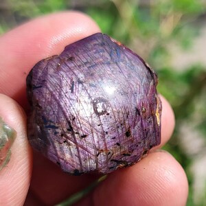 Pode incluir: Uma gema de rubi natural, em bruto. O rubi é de cor vermelho-púrpura profundo com estrias e inclusões visíveis. A gema é segurada entre os dedos, com um fundo verde desfocado.