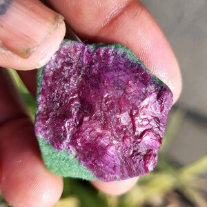 Op de afbeelding: Een ruwe robijn edelsteen met een diepe magenta kleur, gezet tegen een groene matrix. Het oppervlak van de steen heeft een getextureerde, kristallijne uitstraling en reflecteert licht. De edelsteen wordt in een hand gehouden.