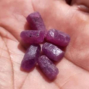 May include: A collection of six rough-cut, deep pink ruby gemstones. The raw, unpolished stones have a natural, textured appearance. The gems vary slightly in size and shape, with visible inclusions. The rubies are held in a hand, showcasing their color and form.