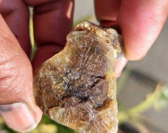May include: A rough, irregularly shaped, translucent stone with a mix of brown, tan, and amber hues. The stone has a textured surface with darker brown and black veining. The stone is held between fingers, with a blurred green background.