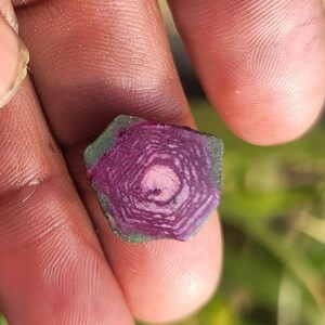 Pode incluir: Uma gema de turmalina melancia cortada, exibindo an&eacute;is conc&ecirc;ntricos de tons rosa e roxo. A pedra tem uma borda externa verde e um n&uacute;cleo central rosa, segurada em uma m&atilde;o.