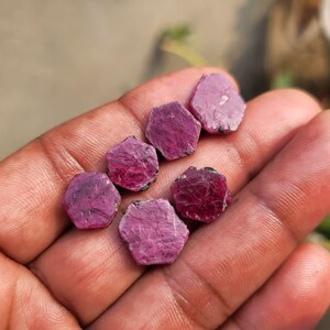 May include: A hand holds several rough-cut ruby gemstones. The gems are a deep pinkish-red color, with a slightly textured surface. The stones are irregularly shaped, with a hexagonal appearance. The background is blurred.