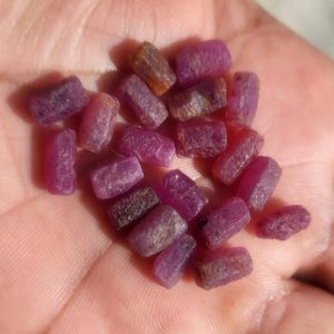 Può includere: Una collezione di gemme di rubino grezze e non tagliate. Le pietre variano in tonalità di rosa intenso e viola rossastro, con alcune sfumature marroni più scure. La consistenza ruvida e naturale delle gemme è visibile.