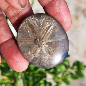 May include: A polished, oval-shaped chiastolite gemstone featuring a distinct, dark brown cross pattern embedded within a lighter, tan-colored mineral matrix. The stone has a smooth, rounded surface with visible natural inclusions and a glossy finish.