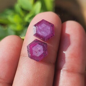 May include: Two hexagonal, faceted gemstones with a deep magenta hue are displayed. The gems have a multi-faceted design and are held between fingers. The background is blurred, with green foliage visible.