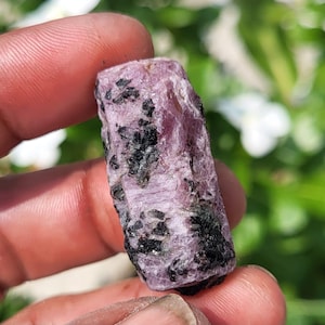 Op de afbeelding: Een ruw, langwerpig kristalexemplaar met een doorschijnende, lichtroze en magentakleurige basis met opvallende, onregelmatige zwarte mineraalinklusies verspreid over het getextureerde, veelzijdige oppervlak en de grillige randen.
