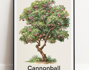 Kanonenkugel Baum Poster | Botanische Wandkunst | Personalisiertes Geschenk Natur-Wand-Dekor
