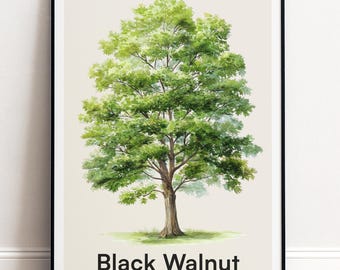 Schwarznussbaum Druck | Botanische Wandkunst | Personalisiertes Geschenk Natur-Wand-Dekor