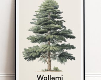 Wollemi Baum Druck | Botanische Wandkunst | Personalisiertes Geschenk Natur-Wand-Dekor