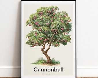 Cannonball Tree Print | Botanical Wall Art | Personalised or Minimal Poster | Nature Gift