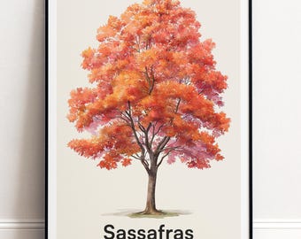 Sassafras Baum Druck | Botanische Wandkunst | Personalisiertes Geschenk Natur-Wand-Dekor