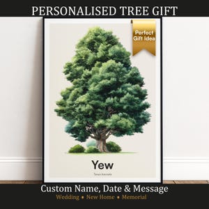 May include: A framed print depicting a Yew tree, Taxus baccata, with vibrant green leaves and a detailed trunk. The artwork includes the text "Yew" and "Custom Name, Date & Message". A gold banner reads "Perfect Gift Idea".