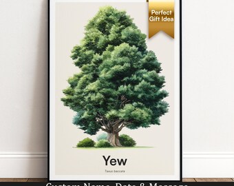 Yew Tree Print | Botanical Wall Art | Personalised Gift | Nature Wall Decor