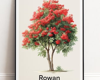 Eberesche Poster | Botanische Wandkunst | Personalisiertes Geschenk Natur-Wand-Dekor