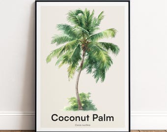 Coconut Palm Print | Botanical Wall Art | Personalised or Minimal Poster | Nature Gift
