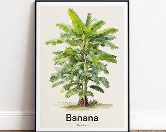 Banana Tree Print | Botanical Wall Art | Personalised or Minimal Poster | Nature Gift