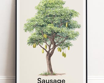 Wurstbaum Druck | Botanische Wandkunst | Personalisiertes Geschenk Natur-Wand-Dekor
