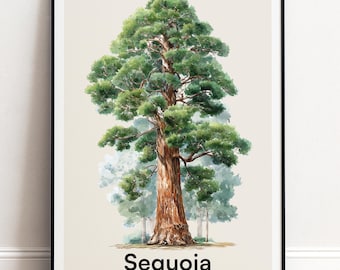 Mammutbaum-Baum-Druck | Botanische Wandkunst | Personalisiertes Geschenk Natur-Wand-Dekor