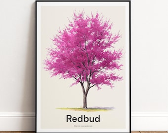 Redbud Tree Print | Botanical Wall Art | Personalised or Minimal Poster | Nature Gift
