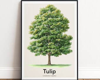 Tulip Tree Print | Botanical Wall Art | Personalised or Minimal Poster | Nature Gift