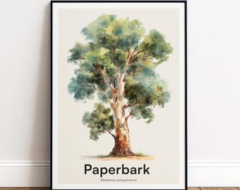 Paperbark Tree Print | Botanical Wall Art | Personalised or Minimal Poster | Nature Gift