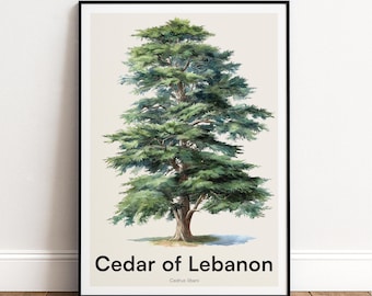 Cedar of Lebanon Tree Print | Botanical Wall Art | Personalised or Minimal Poster | Nature Gift
