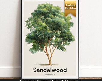 Sandalwood Tree Print | Botanical Wall Art | Personalised Gift | Nature Wall Decor