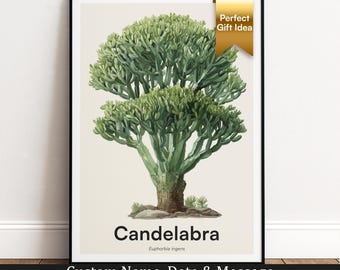 Candelabra Tree Print | Botanical Wall Art | Personalised Gift | Nature Wall Decor