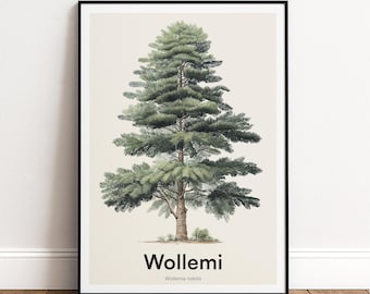 Wollemi Tree Print | Botanical Wall Art | Personalised or Minimal Poster | Nature Gift