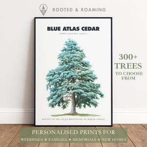 Blue atlas cedar - Etsy 日本