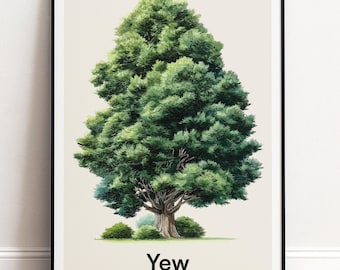 Eibenbaum Poster | Botanische Wandkunst | Personalisiertes Geschenk Natur-Wand-Dekor