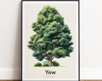 Yew Tree Print | Botanical Wall Art | Personalised or Minimal Poster | Nature Gift