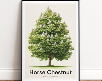 Horse Chestnut Tree Print | Botanical Wall Art | Personalised or Minimal Poster | Nature Gift