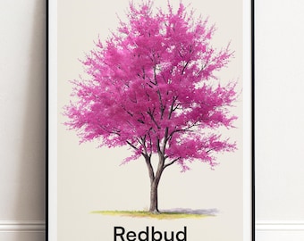 Redbud Baum Druck | Botanische Wandkunst | Personalisiertes Geschenk Natur-Wand-Dekor