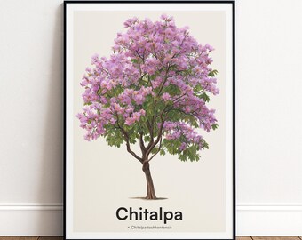 Chitalpa Tree Print | Botanical Wall Art | Personalised or Minimal Poster | Nature Gift