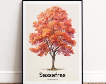 Sassafras Tree Print | Botanical Wall Art | Personalised or Minimal Poster | Nature Gift