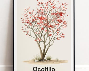 Ocotillo Baum Poster | Botanische Wandkunst | Personalisiertes Geschenk Natur-Wand-Dekor