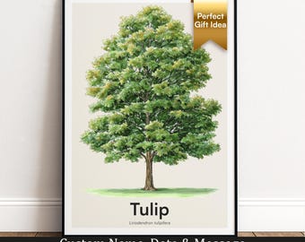 Tulip Tree Print | Botanical Wall Art | Personalised Gift | Nature Wall Decor