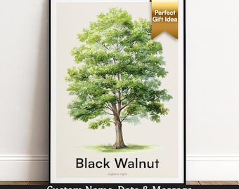 Black Walnut Tree Print | Botanical Wall Art | Personalised Gift | Nature Wall Decor