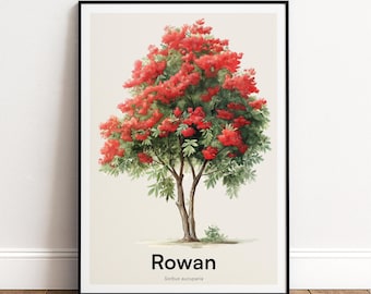 Rowan Tree Print | Botanical Wall Art | Personalised or Minimal Poster | Nature Gift