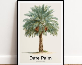 Date Palm Print | Botanical Wall Art | Personalised or Minimal Poster | Nature Gift