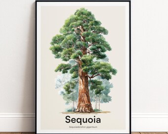 Sequoia Tree Print | Botanical Wall Art | Personalised or Minimal Poster | Nature Gift