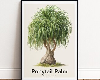 Ponytail Palm Print | Botanical Wall Art | Personalised or Minimal Poster | Nature Gift