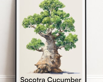 Socotra Gurkenbaum Poster | Botanische Wandkunst | Personalisiertes Geschenk Natur-Wand-Dekor